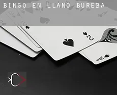 Bingo en  Llano de Bureba