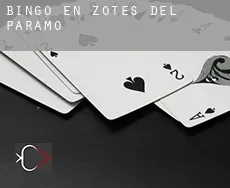 Bingo en  Zotes del Páramo