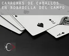 Carreras de caballos en Bobadilla del Campo
