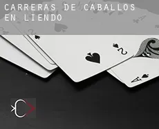 Carreras de caballos en  Liendo