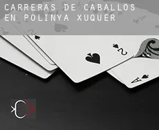 Carreras de caballos en Polinyà de Xúquer