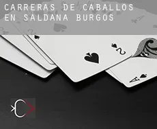 Carreras de caballos en  Saldaña de Burgos