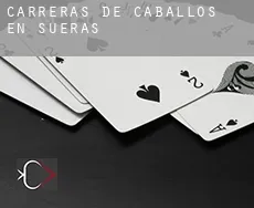 Carreras de caballos en Sueras / Suera