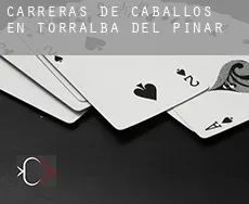 Carreras de caballos en Torralba del Pinar