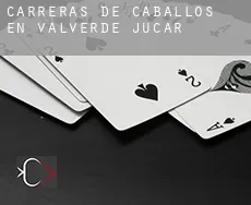 Carreras de caballos en  Valverde de Júcar