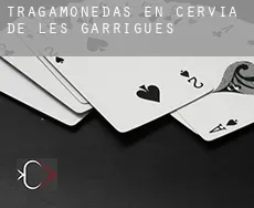 Tragamonedas en Cervià de les Garrigues