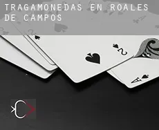 Tragamonedas en  Roales de Campos