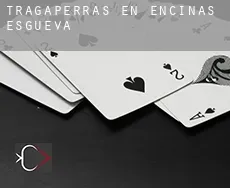 Tragaperras en  Encinas de Esgueva