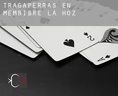 Tragaperras en Membibre de la Hoz