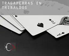 Tragaperras en  Tribaldos