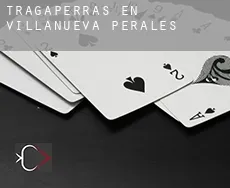 Tragaperras en Villanueva de Perales