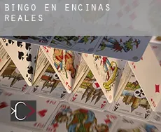 Bingo en Encinas Reales