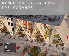 Bingo en  Santa Cruz de los Cáñamos