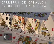 Carreras de caballos en Duruelo de la Sierra