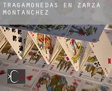 Tragamonedas en  Zarza de Montánchez