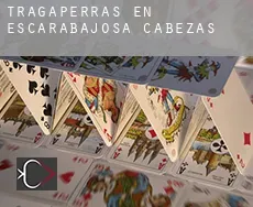 Tragaperras en  Escarabajosa de Cabezas