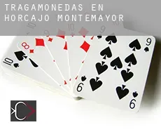 Tragamonedas en  Horcajo de Montemayor