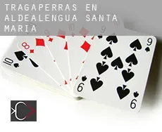 Tragaperras en  Aldealengua de Santa María