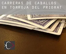 Carreras de caballos en  Torroja del Priorat