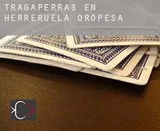 Tragaperras en  Herreruela de Oropesa