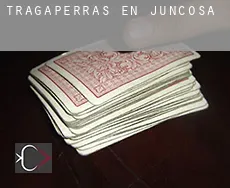 Tragaperras en  Juncosa